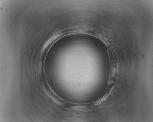 X0000080680150200612301433