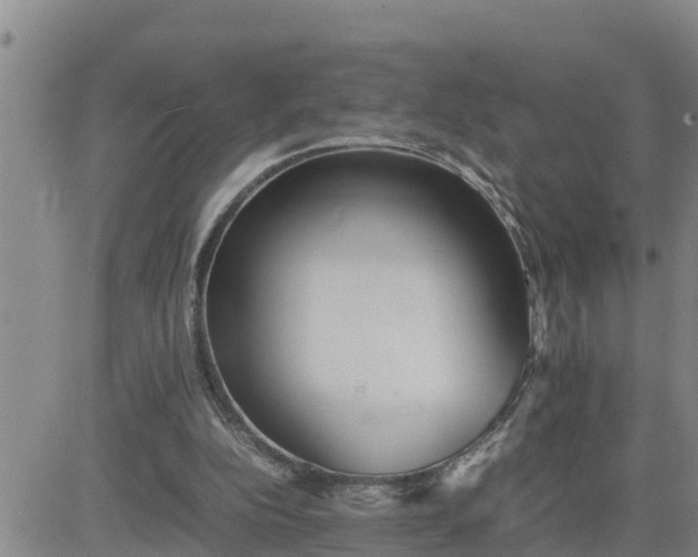 X0000080680152200612301433