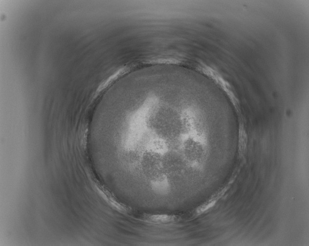 X0000080680153200612301433