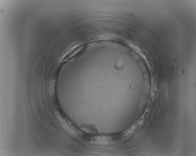 X0000080680154200612301433