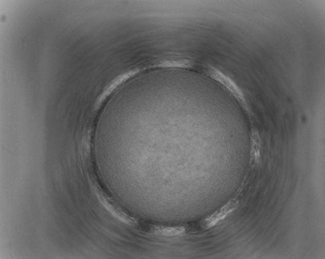 X0000080680155200612301433