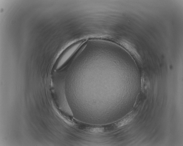 X0000080680156200612301433