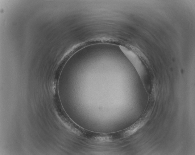 X0000080680160200612301433