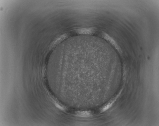 X0000080680161200612301433