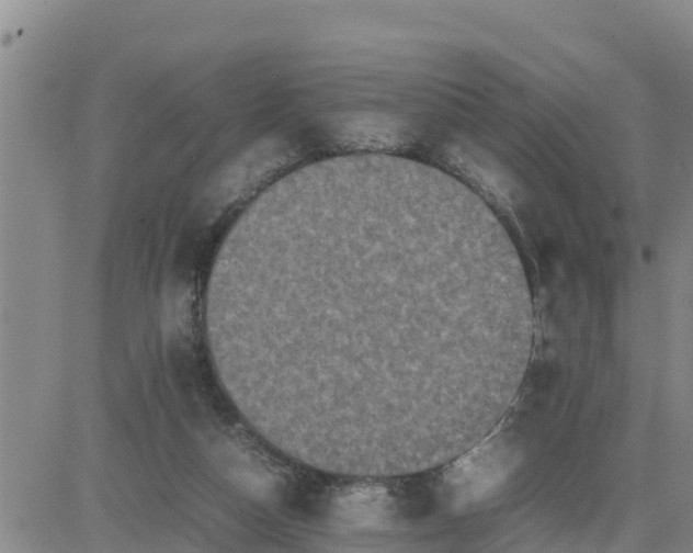 X0000080680162200612301433