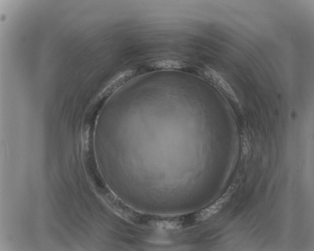 X0000080680163200612301433