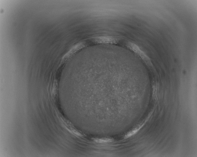 X0000080680165200612301433