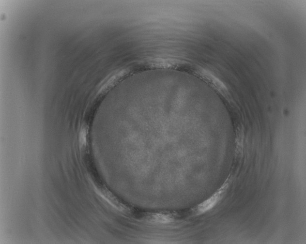 X0000080680166200612301433