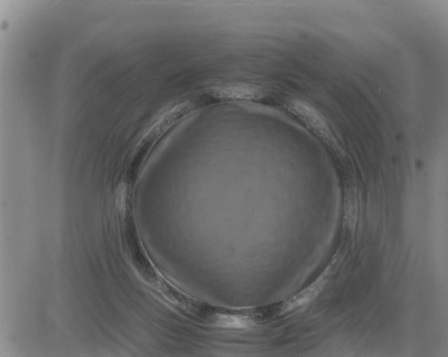 X0000080680167200612301433