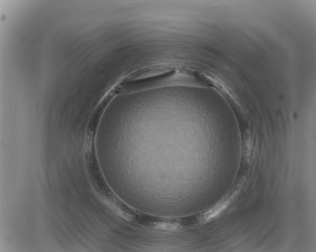 X0000080680168200612301433