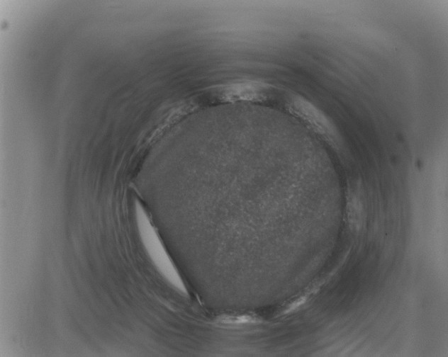 X0000080680169200612301433