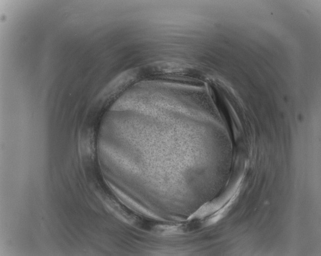 X0000080680170200612301433