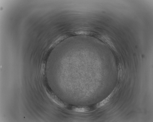 X0000080680171200612301433