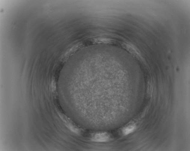 X0000080680173200612301433