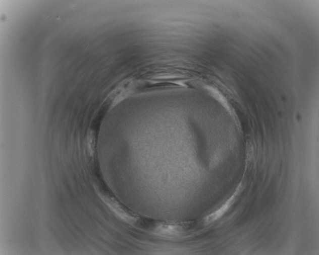 X0000080680174200612301434