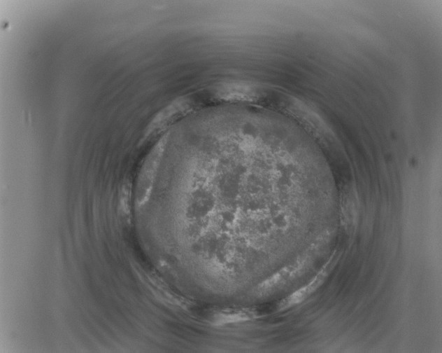 X0000080680175200612301434