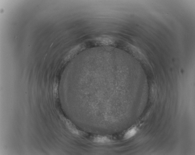 X0000080680177200612301434