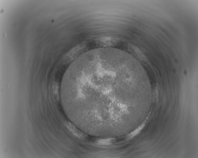 X0000080680178200612301434