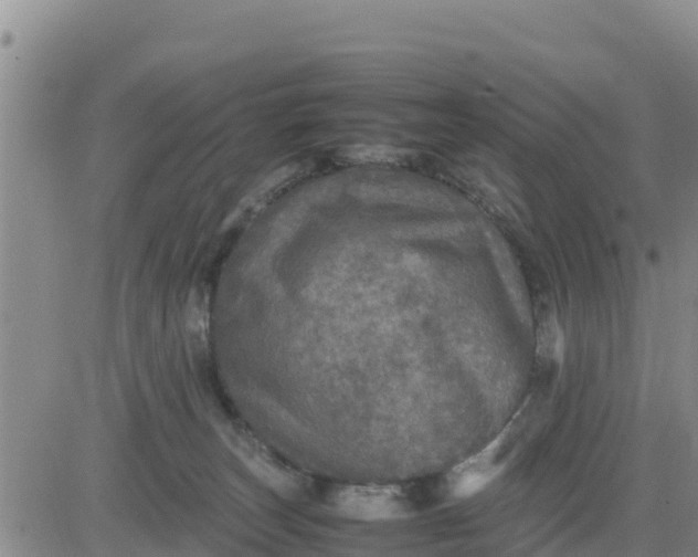 X0000080680179200612301434