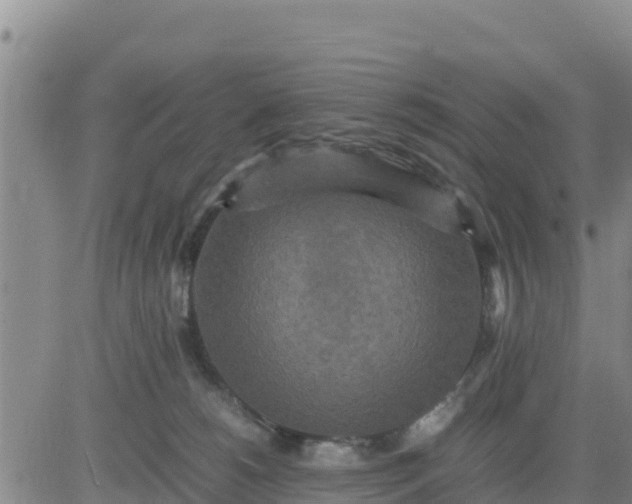 X0000080680180200612301434