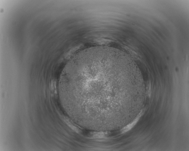 X0000080680182200612301434