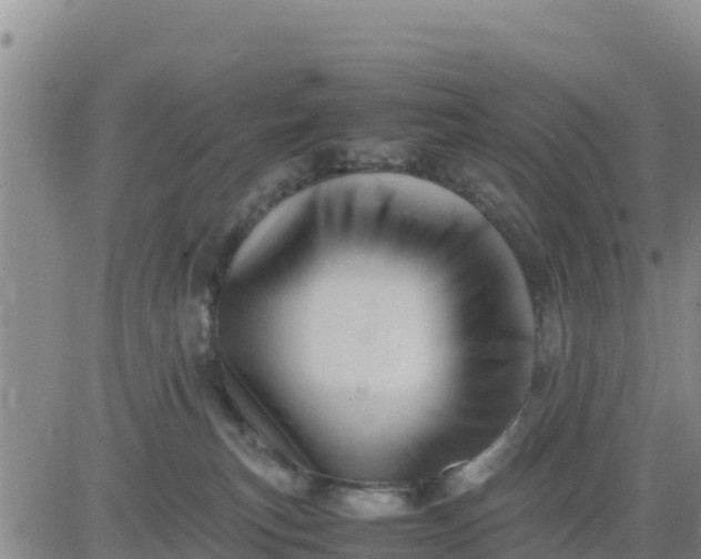 X0000080680183200612301434