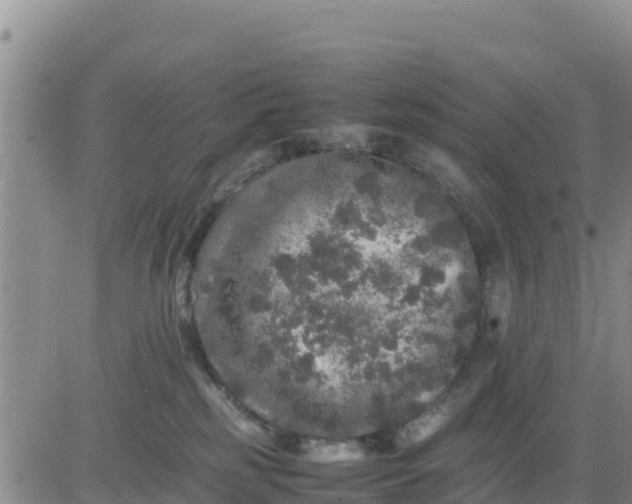 X0000080680185200612301434