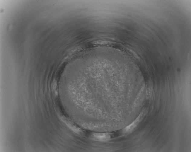 X0000080680187200612301434