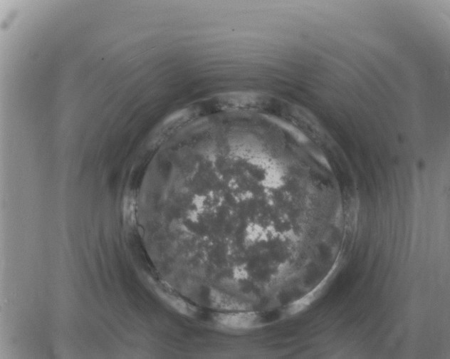 X0000080680191200612301434