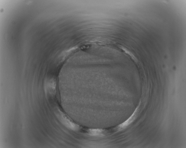 X0000080680192200612301434