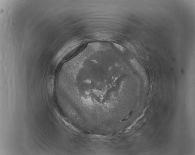 X0000080680194200612301433