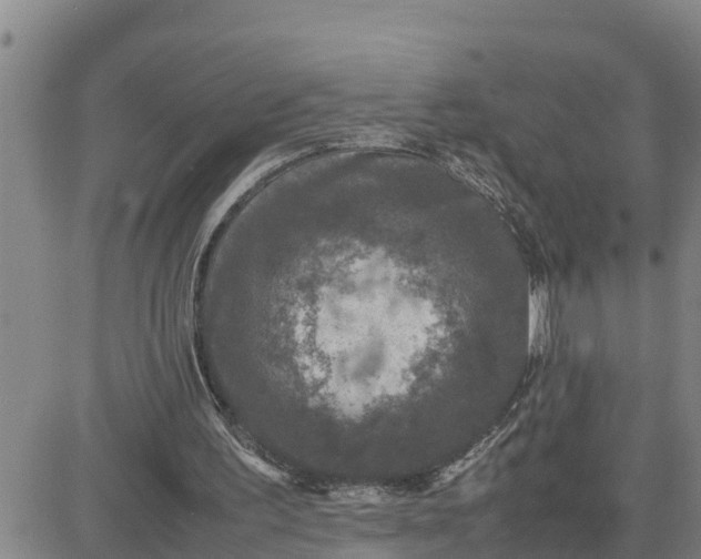 X0000080680195200612301433