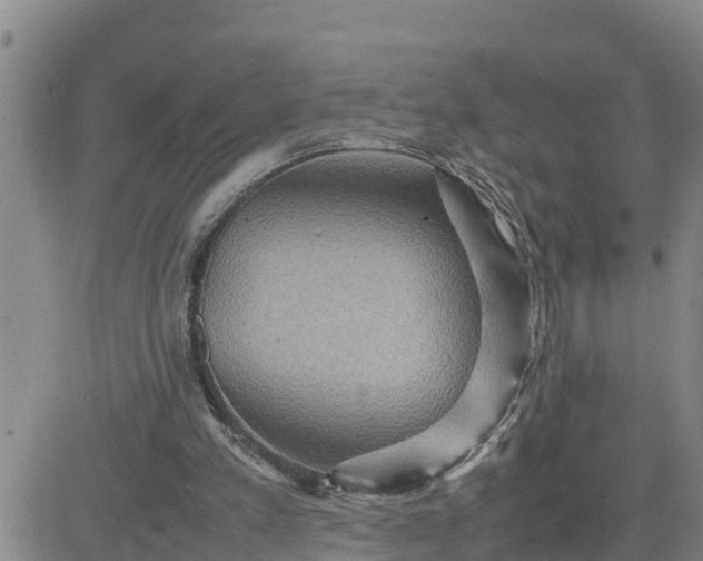 X0000080680197200612301433