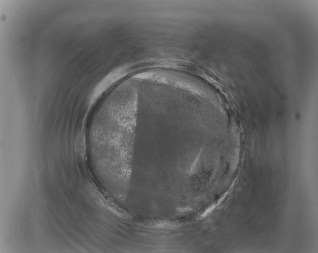 X0000080680198200612301433