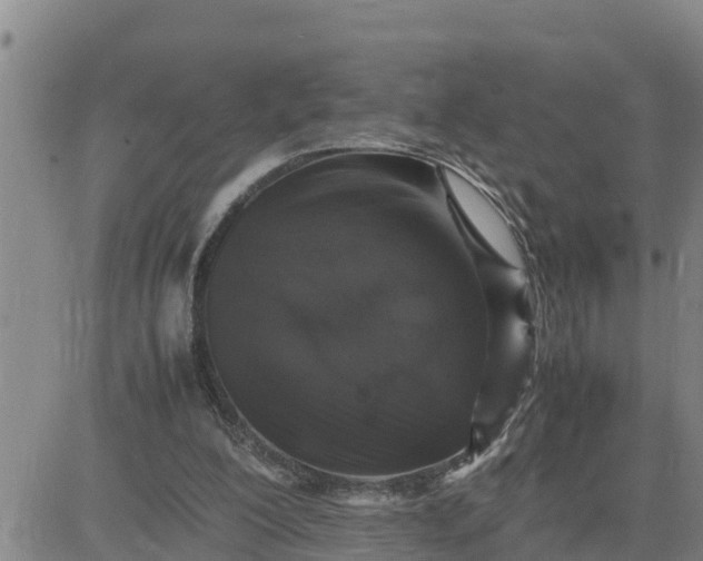 X0000080680200200612301433