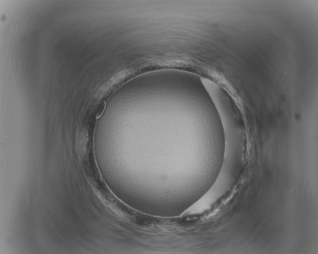 X0000080680201200612301433