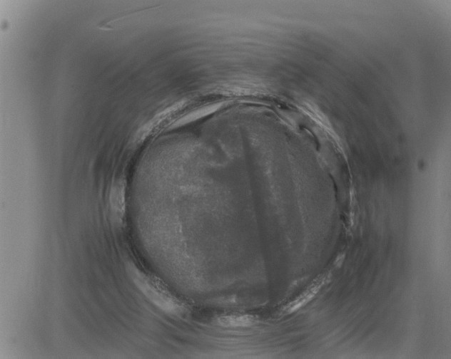 X0000080680202200612301433