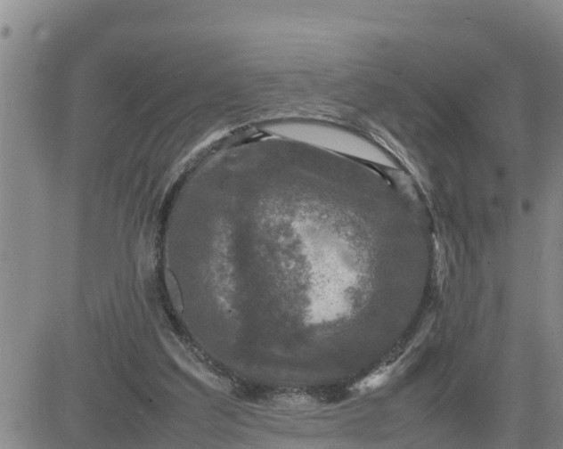 X0000080680203200612301433