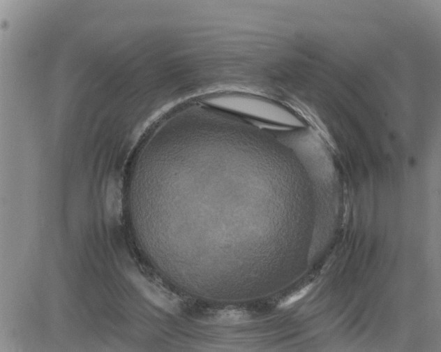 X0000080680204200612301433