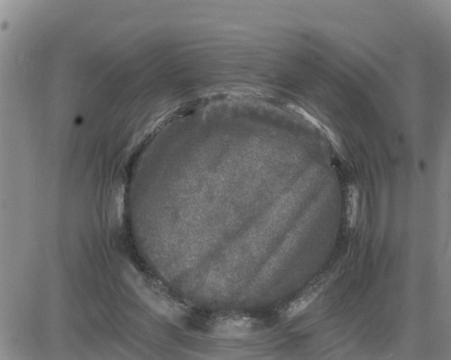 X0000080680206200612301433