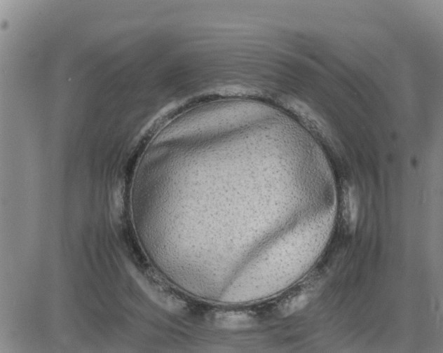 X0000080680208200612301433