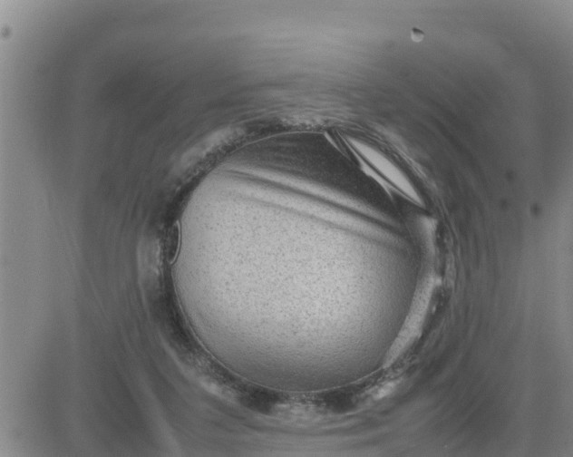 X0000080680211200612301433