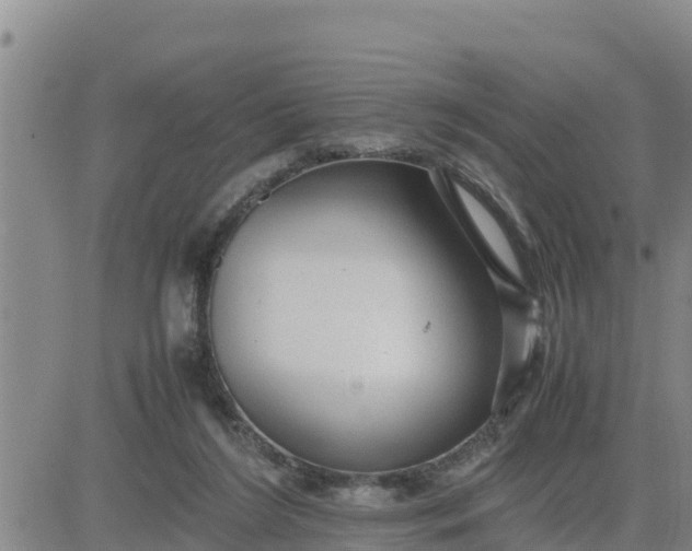 X0000080680212200612301433