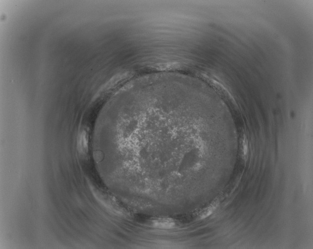 X0000080680214200612301433