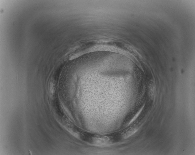 X0000080680215200612301433