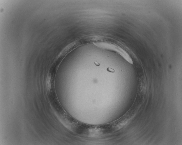 X0000080680216200612301433