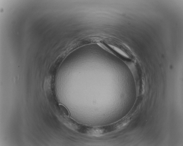 X0000080680217200612301433