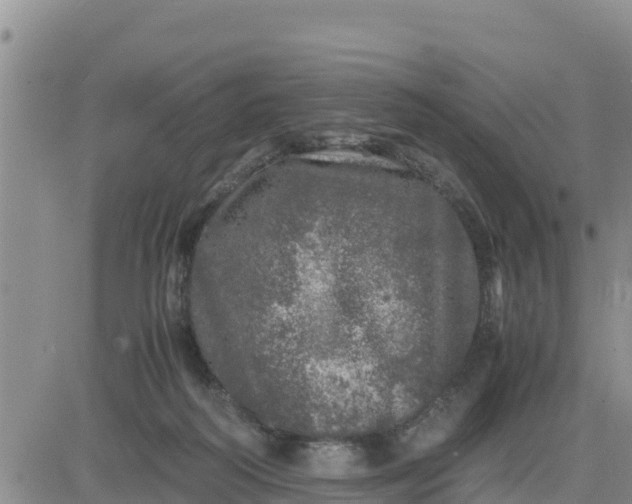 X0000080680218200612301433