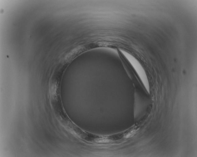 X0000080680219200612301433