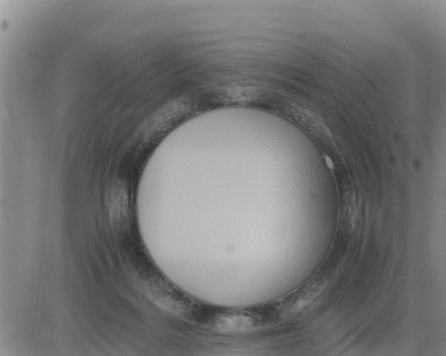 X0000080680220200612301433